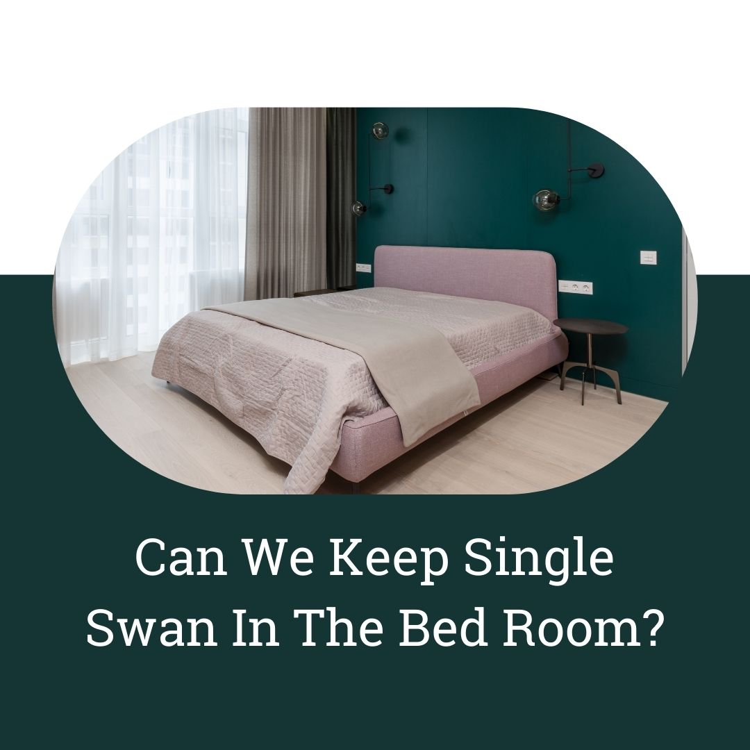 Can We Keep Single Swan in The Bed Room