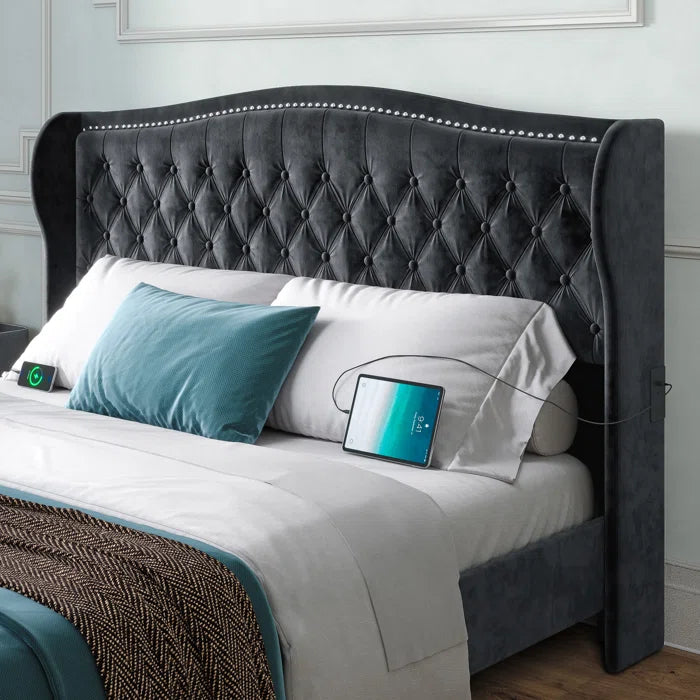 Divan Bed: Gujral Upholstered Bed