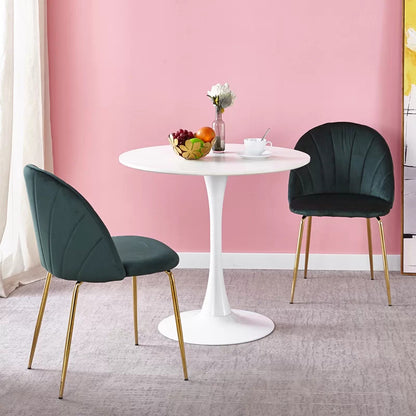 Cafe Chair: Velvet Restaurant Chair (Set of 2)