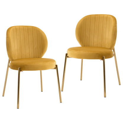 Cafe Chair: Velvet Upholstered Side, Restaurant Chair (Set of 2)
