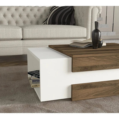 Center Table: Floor Shelf Coffee Table with Storage