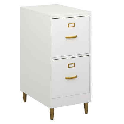 File Cabinets : DAN 2-Drawer Vertical Filing Cabinet