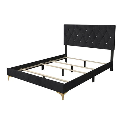 Modular Bed : Upholstered Standard Bed