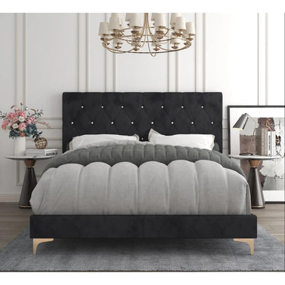 Modular Bed : Upholstered Standard Bed