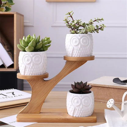 Plant Stand: Multi-Tiered Bamboo Plant Stand