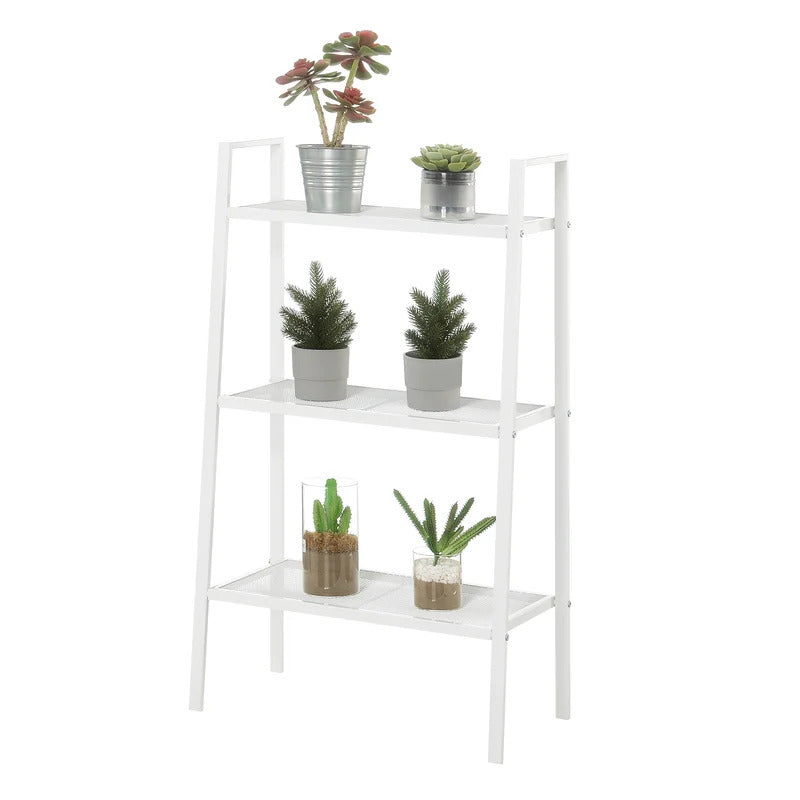 Plant Stand : Multi-Tiered Plant Stand