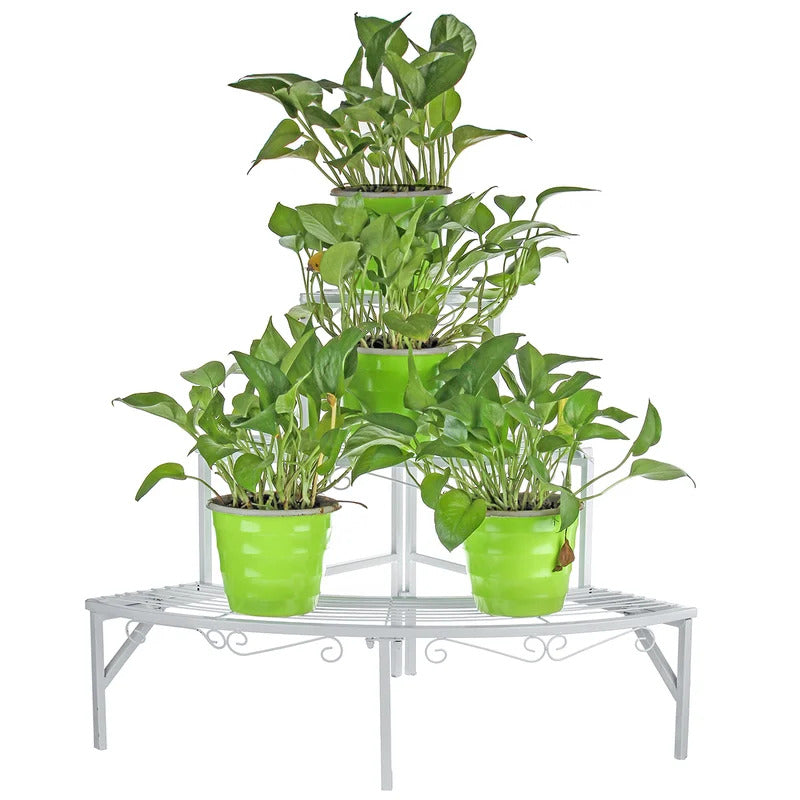 Plant Stand: Solid Iron Frame Plant Stand