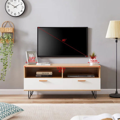 TV Panel: Modern TV Stand For TV Up To 55 In
