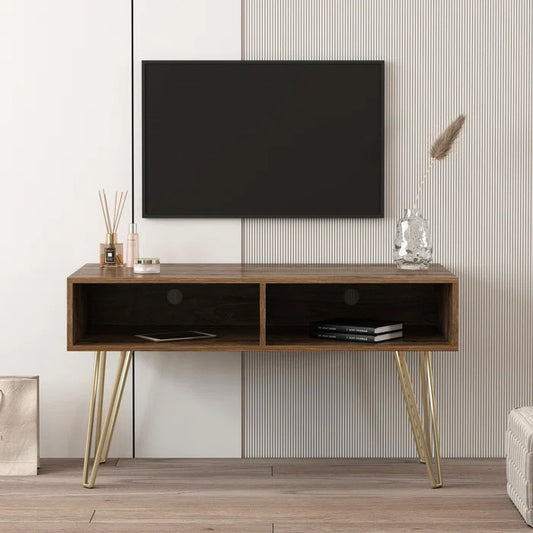TV Panel: TV Stand for TVs up to 48"