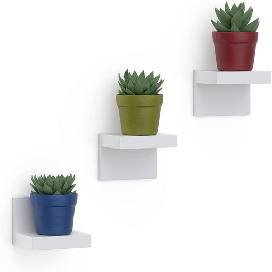 Wall Shelves Plastic Display Ledges for Small Decor, Mini Wall Shelf