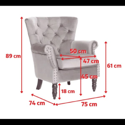 Wing Chair: Turgan 29'' Wide Velvet Wingback Chair